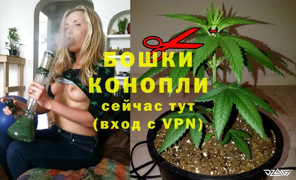 стаф Богородицк