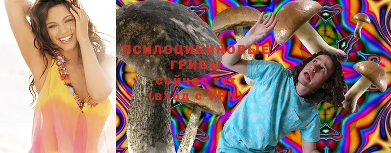 Псилоцибиновые грибы Cubensis  Верхоянск 